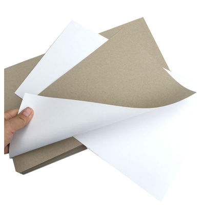 Односторонняя белая дуплексная бумажная доска 200Gsm 230Gsm 250Gsm 300Gsm 350Gsm 400Gsm 450Gsm