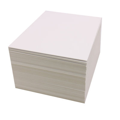 Доска из белой бумаги из слоновой кости SBS 230/250/300/350gsm C1S