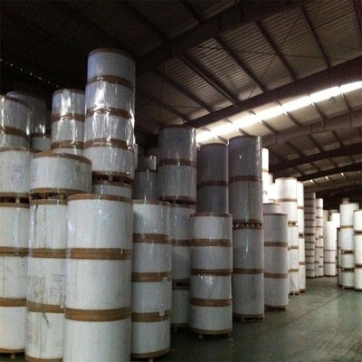 Доска из белой бумаги из слоновой кости SBS 230/250/300/350gsm C1S
